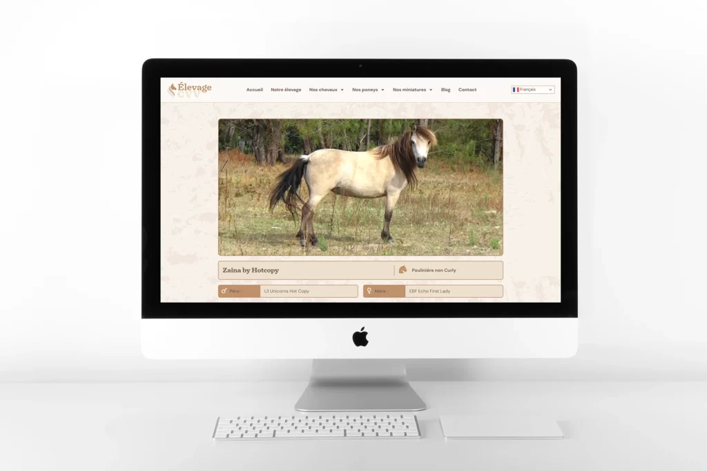 Fiche chevaux Curly cvv sur ordinateur