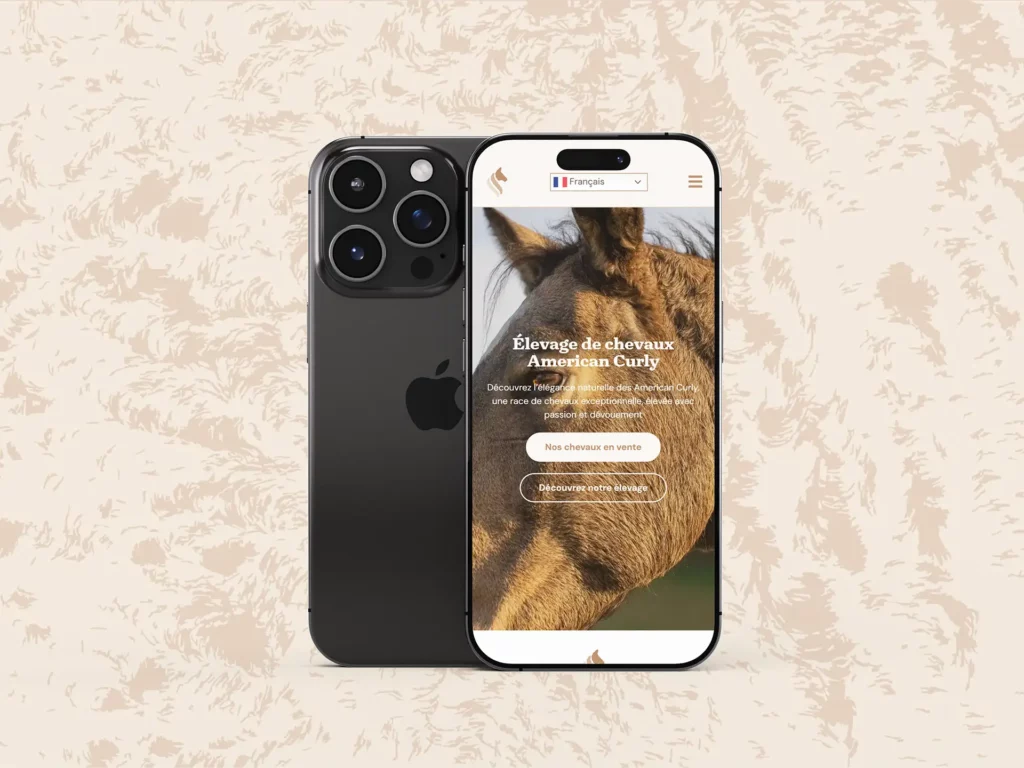 Site Curly CVV sur mobile