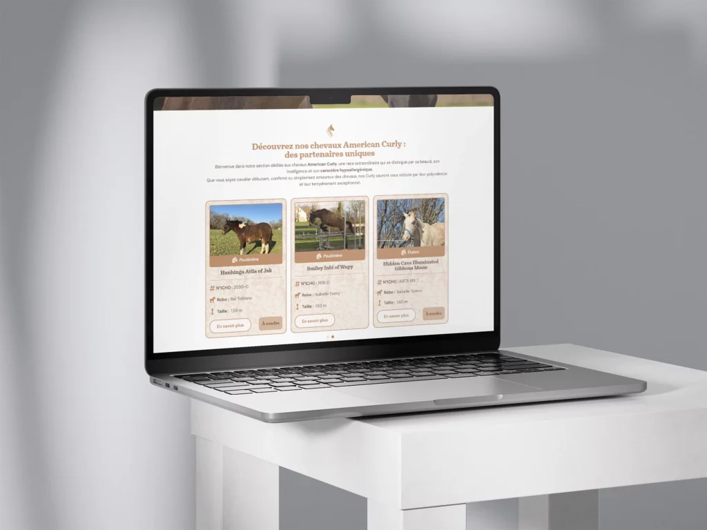 Site curly CVV sur ordinateur portable