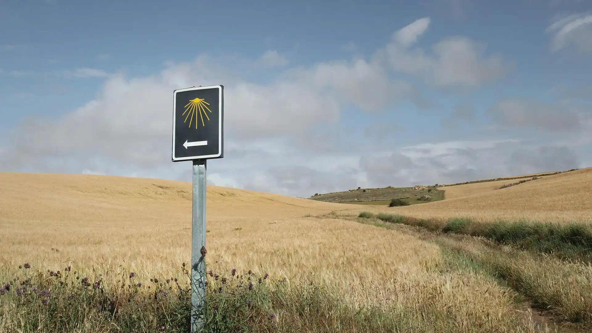 Panneau planté au bord d'un champ sous un ciel bleu