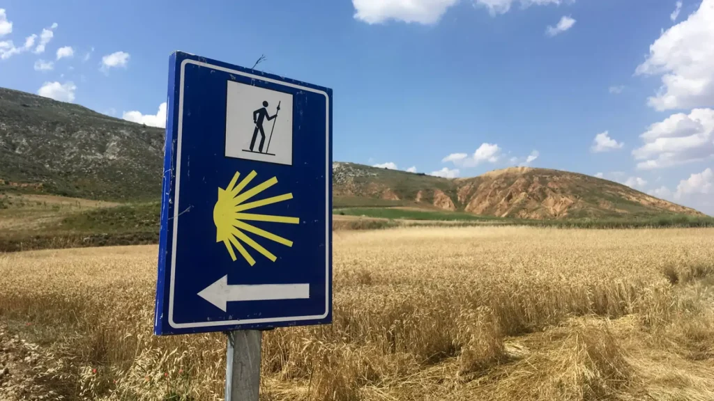 Coquille Saint-Jacques, symbole du chemin de Compostelle
