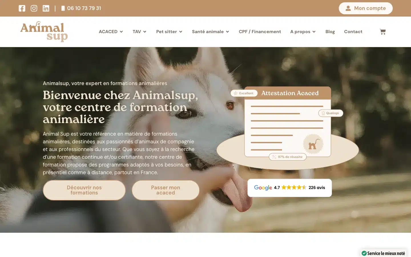 Site Animalsup sur ordinateur, page d'accueil