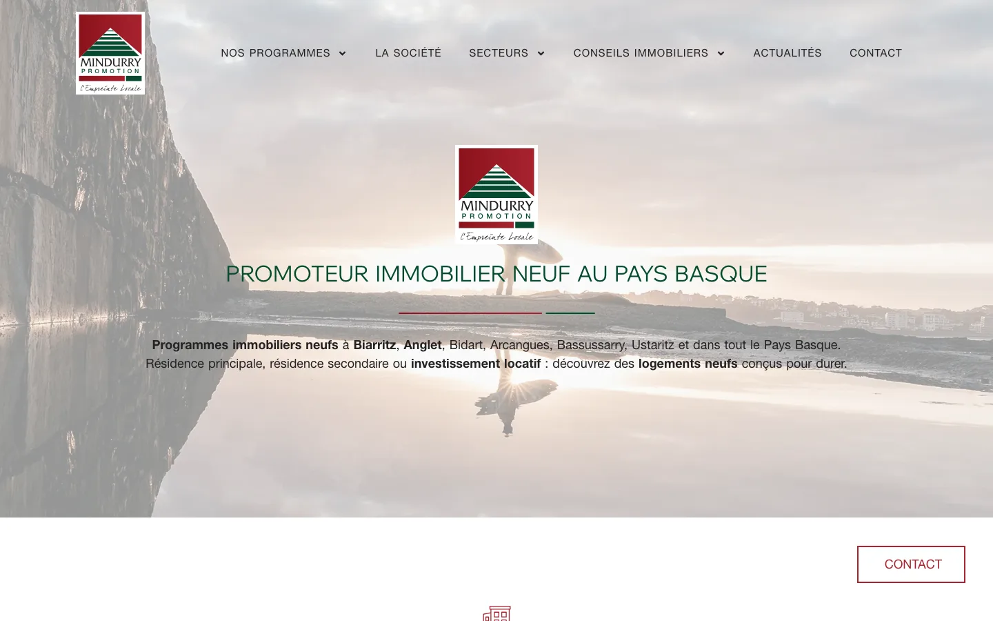 Site Mindurry Promotion sur ordinateur