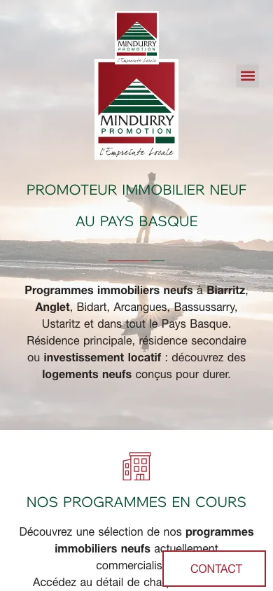 Site Mindurry Promotion sur mobile